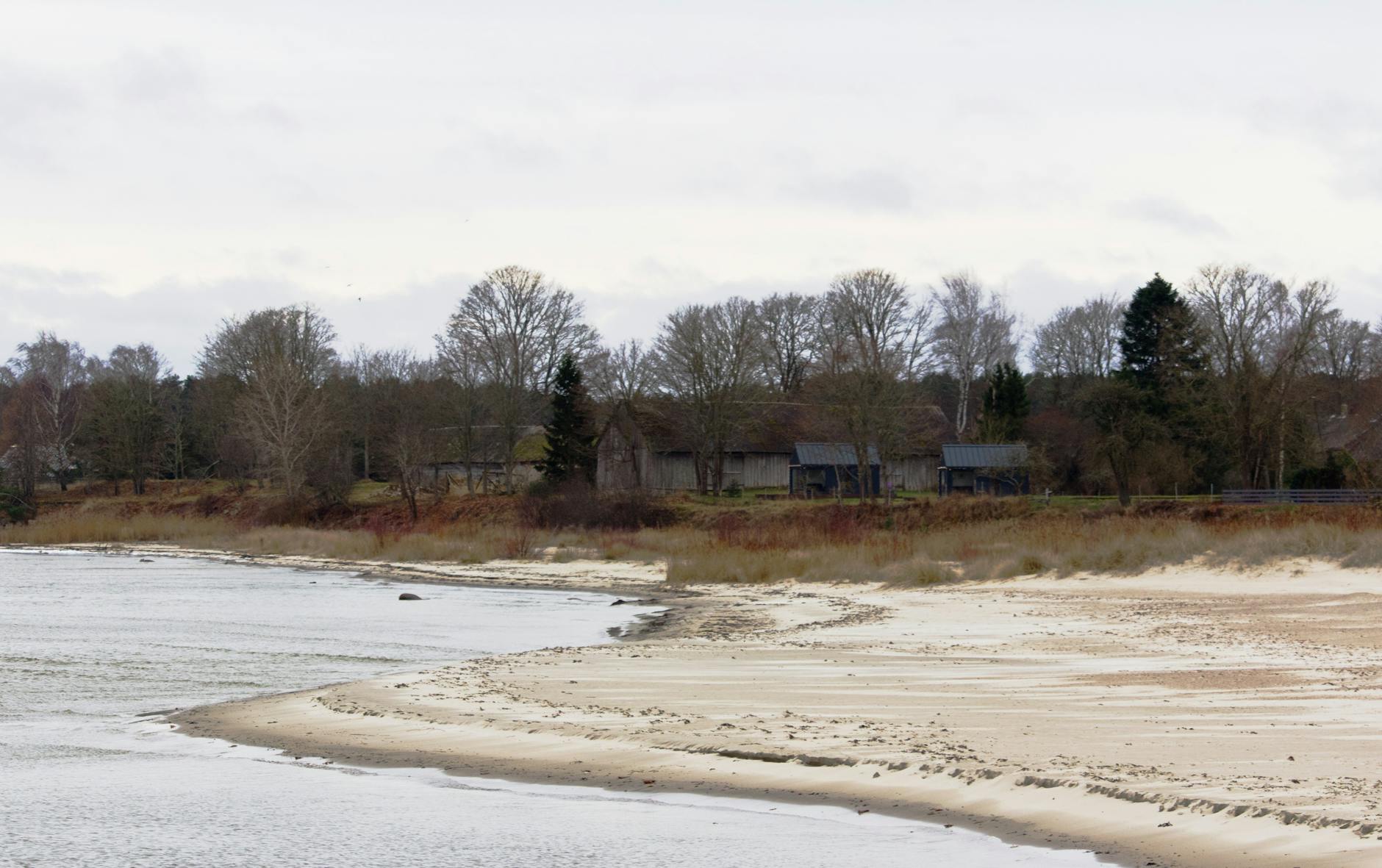 Zimowy krajobraz nad Bałtykiem z zabudowaniami gospodarczymi