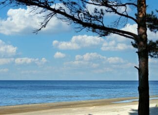 Kiedy warto jechać do Wicia? Porównanie sezonu letniego, czerwca i września Sosny i piaszczysta plaża nad spokojnym Bałtykiem w słoneczny dzień