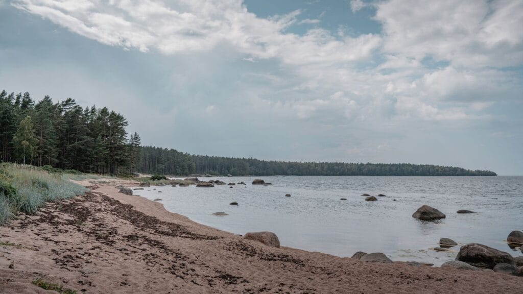 Spokojna plaża otoczona lasem nad morzem w Estonii